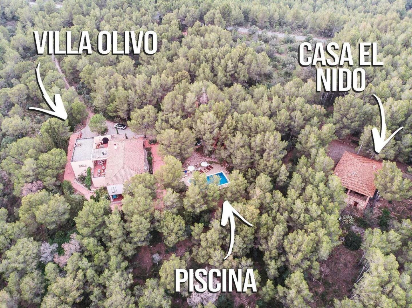 Aldeamia, Forest, Mountain View, Beach At 8 Min Vilanova de Escornalbou Exterior foto